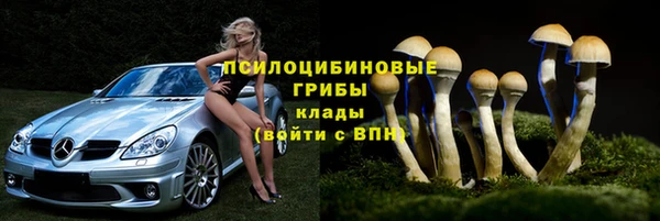 бошки Армянск