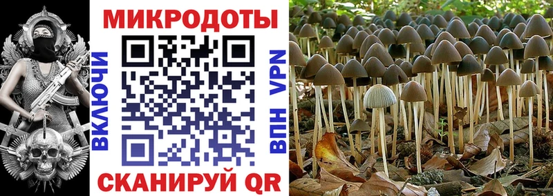 купить Кемь ссылка на мегу зеркало Псилоцибиновые грибы мухоморы